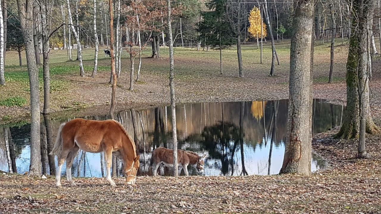 Villa Cheval Aukštadvaris Buitenkant foto