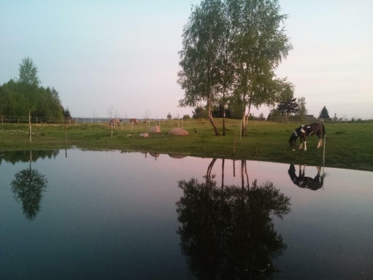 Villa Cheval Aukštadvaris Buitenkant foto