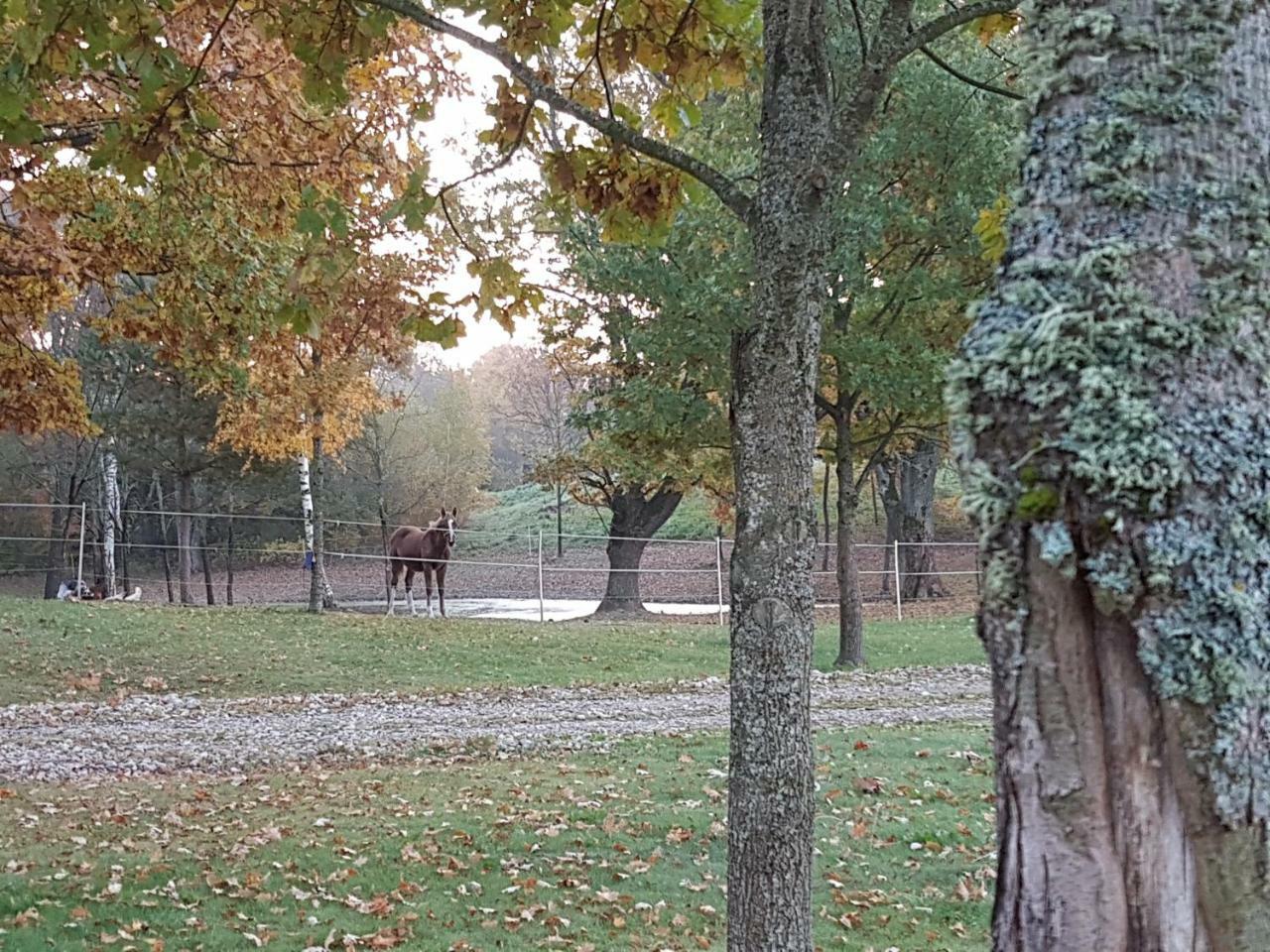 Villa Cheval Aukštadvaris Buitenkant foto
